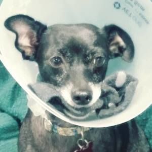 Meet your Posher, Lynne